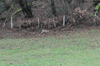 dsc_0006.jpg
