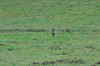 dsc_0008.jpg