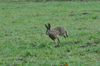 dsc_0011.jpg