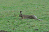 dsc_0012.jpg