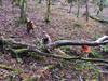 dsc_0039.jpg