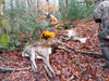 dsc_0047.jpg