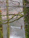 dsc_0060.jpg