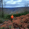 dsc_0005.jpg