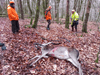 dsc_0014.jpg