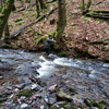 dsc_0025.jpg
