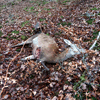 dsc_0026.jpg