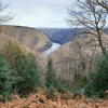 dsc_0001.jpg