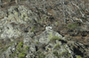 dsc_0007.jpg