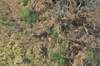 dsc_0016.jpg
