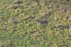 dsc_0017.jpg