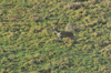 dsc_0018.jpg
