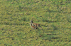 dsc_0026.jpg