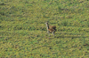 dsc_0027.jpg