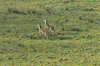 dsc_0029.jpg