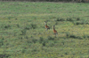 dsc_0031.jpg