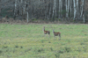 dsc_0032.jpg