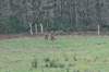 dsc_0033.jpg