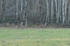dsc_0034.jpg