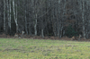 dsc_0035.jpg