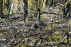 dsc_0002.jpg