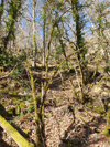 dsc_0005.jpg
