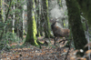 dsc_0025.jpg