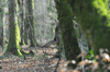 dsc_0026.jpg