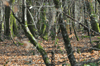 dsc_0027.jpg