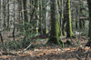 dsc_0028.jpg