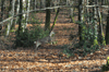 dsc_0031.jpg