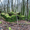 dsc_0004.jpg