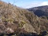dsc_0019.jpg