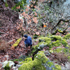dsc_0029.jpg