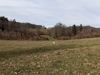 dsc_0008.jpg