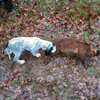 dsc_0004.jpg