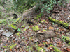 dsc_0012.jpg
