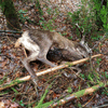 dsc_0029.jpg