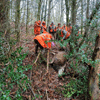 dsc_0035.jpg