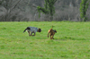 dsc_0007.jpg