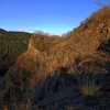 dsc_0003.jpg