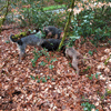 dsc_0007.jpg