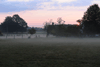 dsc_0012.jpg