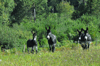 dsc_0006.jpg
