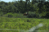 dsc_0009.jpg