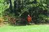 dsc_0001.jpg