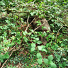 dsc_0007.jpg