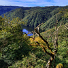 dsc_0006.jpg