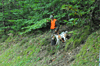 dsc_0009.jpg