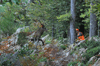 dsc_0013.jpg